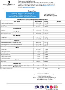 STERILIZE LOT 0924 (2025-02-03)